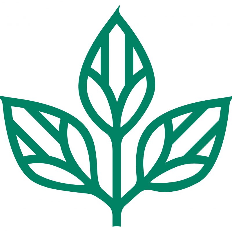 Nettlecombe Court Logo