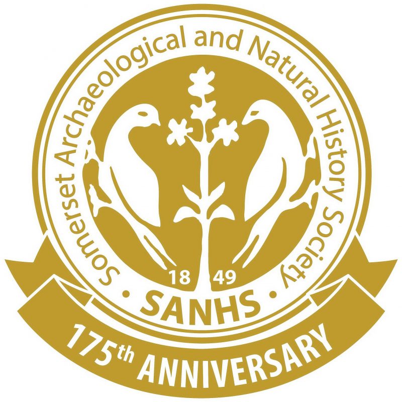 SANHS Logo